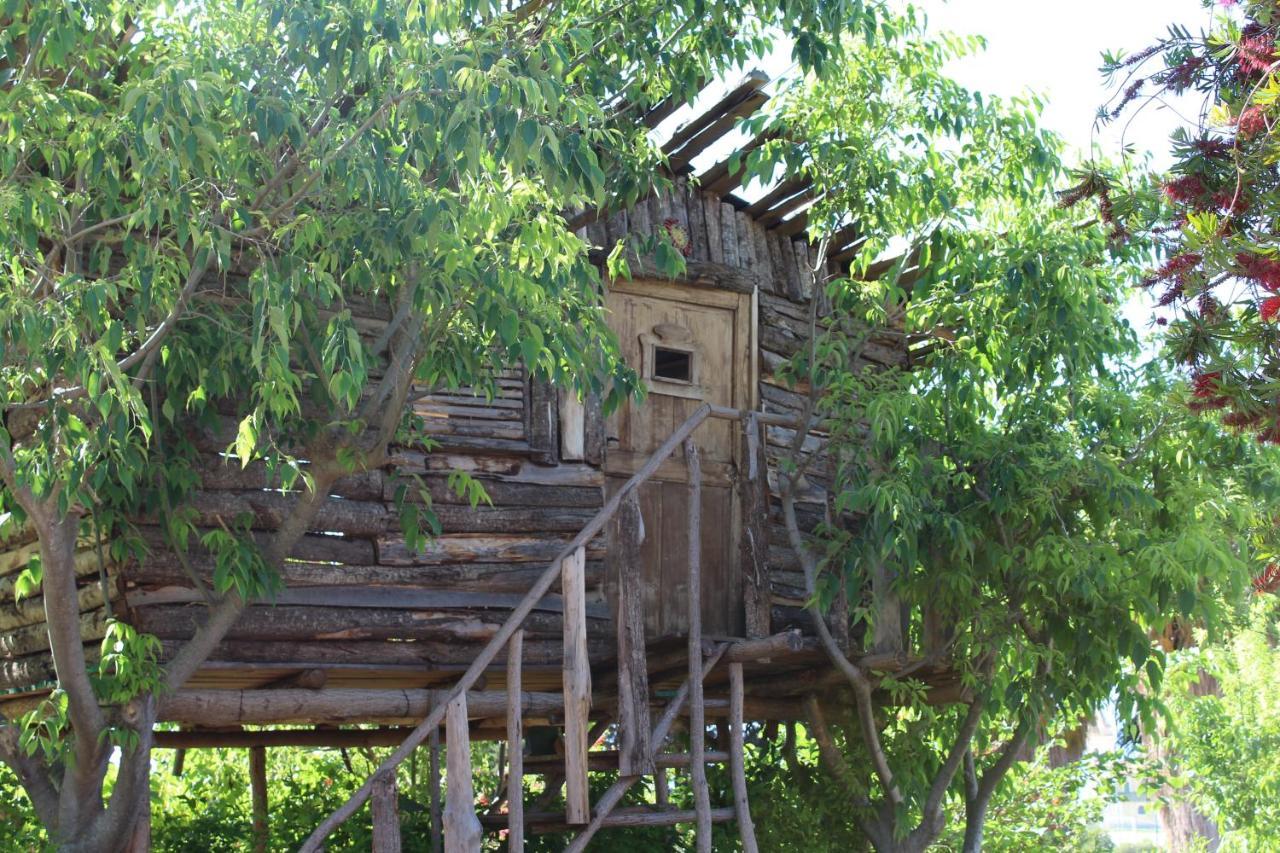 סנטה דומניקה Agriturismo Ruralia מראה חיצוני תמונה