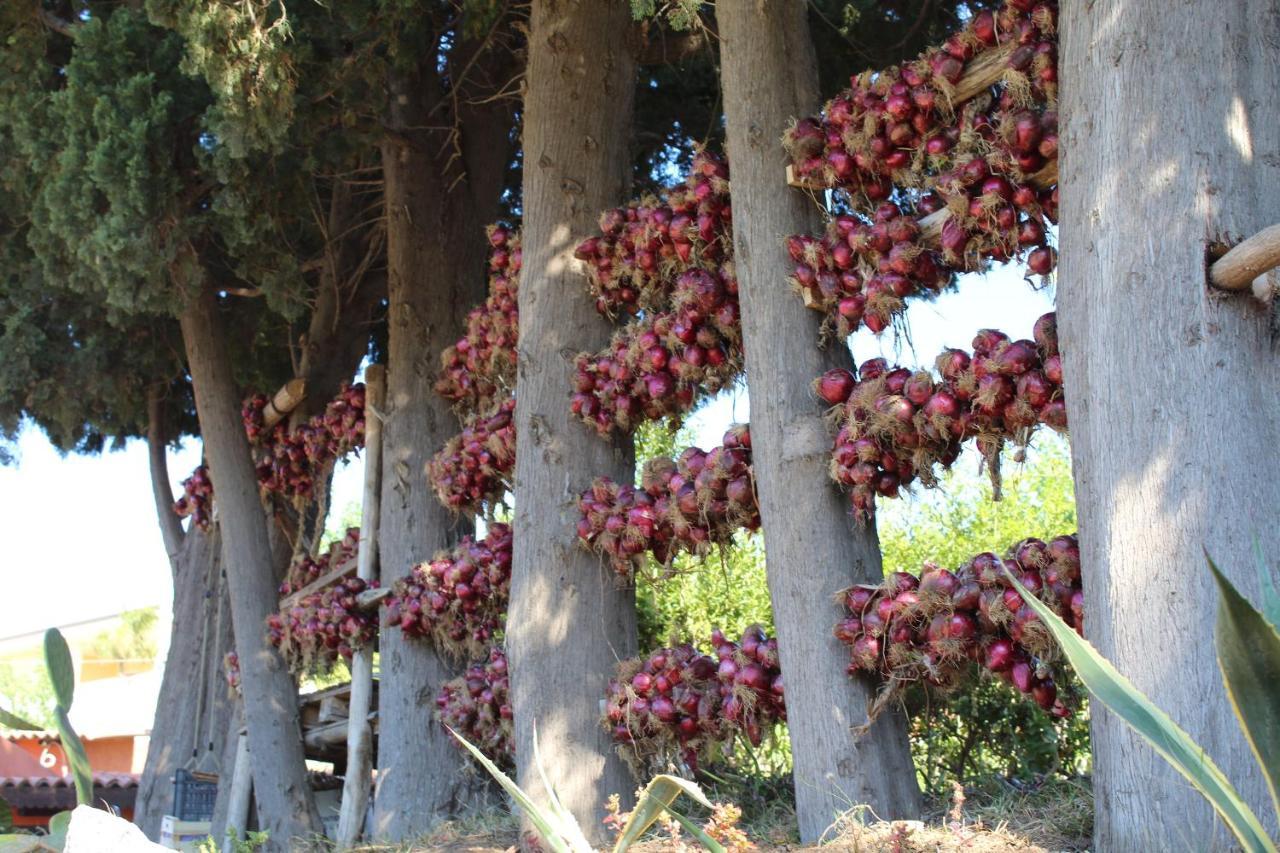 סנטה דומניקה Agriturismo Ruralia מראה חיצוני תמונה
