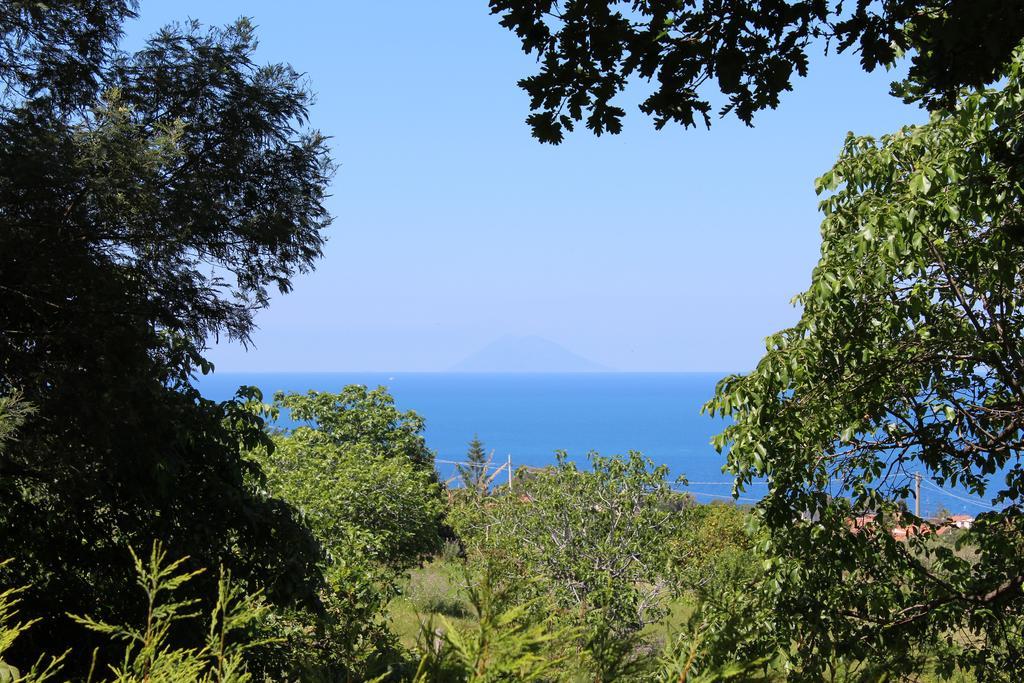 סנטה דומניקה Agriturismo Ruralia מראה חיצוני תמונה