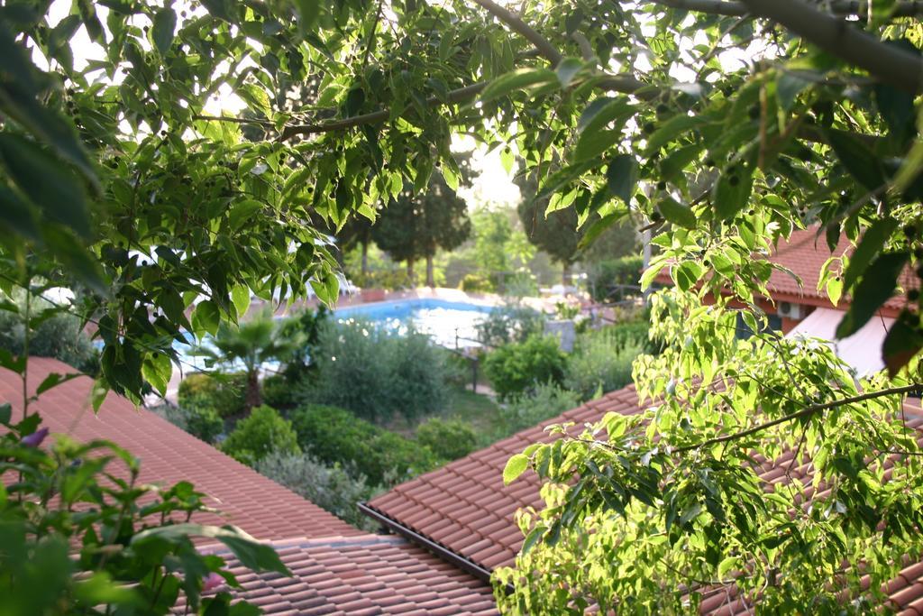 סנטה דומניקה Agriturismo Ruralia מראה חיצוני תמונה