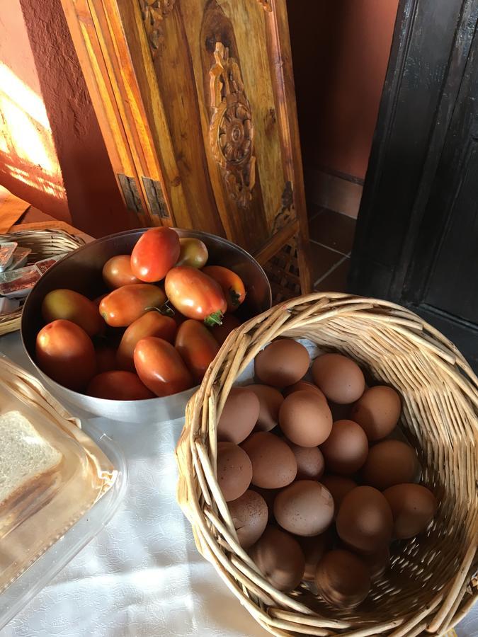 סנטה דומניקה Agriturismo Ruralia מראה חיצוני תמונה